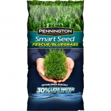 Pennington Smart Seed Fescue/Bluegrass Grass Seed, 3 lb   564077238
